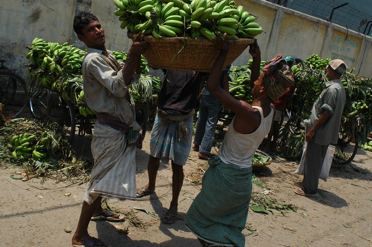 Rajshahi, targ warzywno owocowy (Bangladesh 2008)